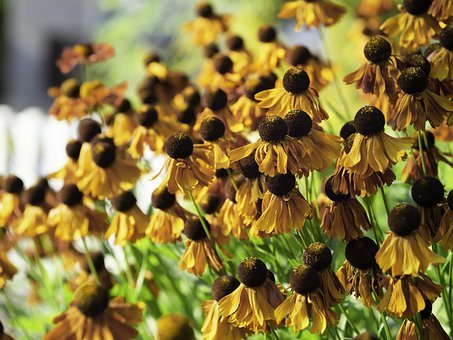 �����F�y���Iʼ����xx9���ڸ����I������...