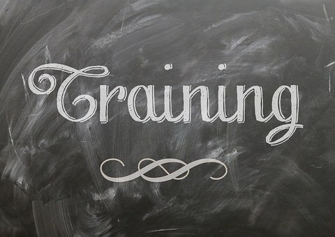 一位中學生給父母的十二條建議