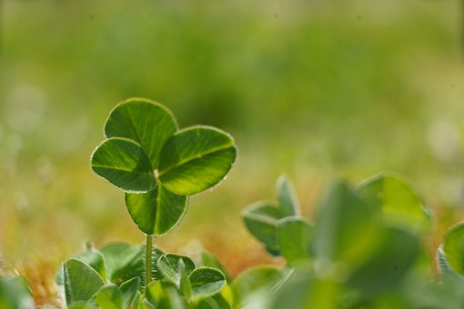 С�W(xu��)�����I(y��)������ ���L��ô�k