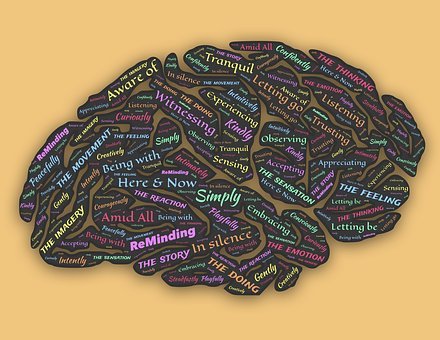 關(guān)鍵要抓住孩子的興趣點,比如喜歡恐龍的就...