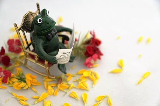 УĿ˺Ҫ