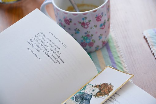 樹(shù)立正確的親子關(guān)系觀