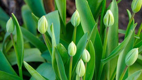 ͸ҕ���Д��W�}�̓Ⱥˣ��Ŀ��c���������}�ķ�