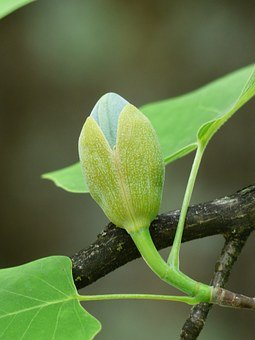 專家:家長(zhǎng)管教孩子10大妙法