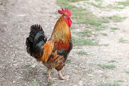 �߿��Z�Ĺ�Ԋ�~�b�p���Y