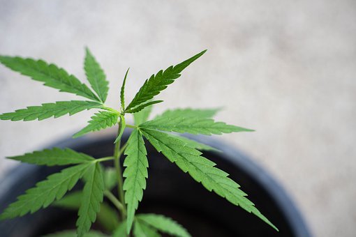 一個高中生叛逆嚴重怎么辦