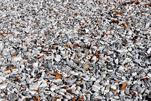 揭開高中生物進化的底層邏輯:從種群波動到物種形成的深度推演