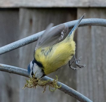 ���W(xu��)����(y��ng)���������ܣ���ʲô��Щ����(y��ng)��(hu��)���l(f��)�ᡰ����Щ�sҪ�����ᡰ��