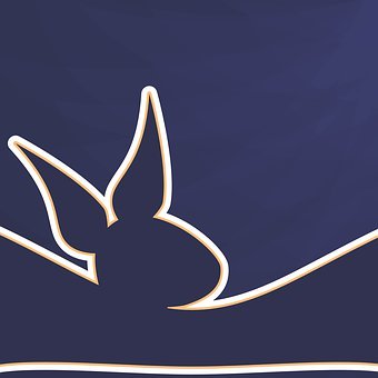 �������С�����Ї����Ӹ���Ц��