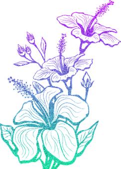 �A�������ֺ��A�����b��һ�Ӹ�������������...