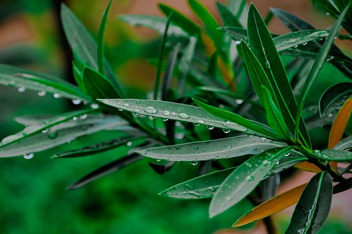 3.�����и��~����Z�_�^�ľ��ӣ����ӵ����^...