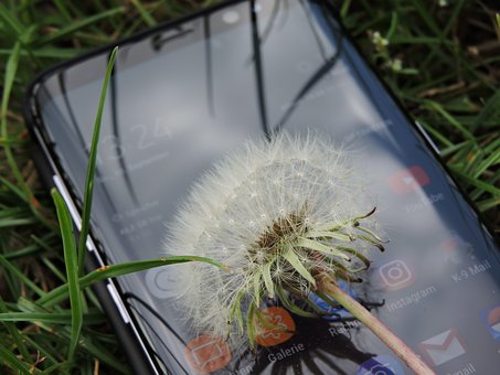 妙招一:形象輔助法