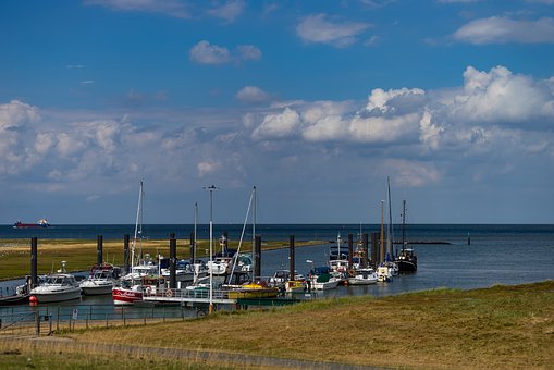 2.3��6��12�գ��Ü������s��50�zʾ������...