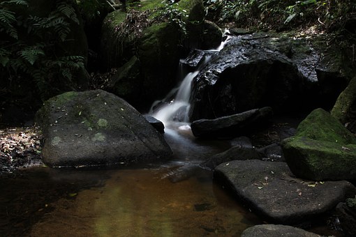 �҇�(y��n)��Ҫ���Լ���������(sh��)����������ɌW(xu��)У�o...