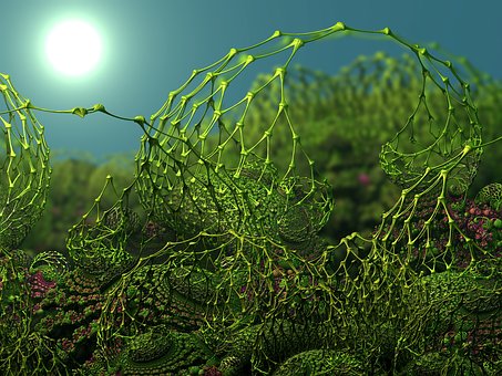 另外,執教者的語言精練、豐富,對學生鼓勵...