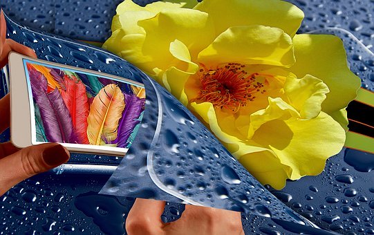 �ҵĸ߿��Z�Ľ�����