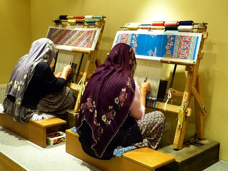 那只銜石填海的小鳥,教給孩子的絕不僅僅是“堅持”