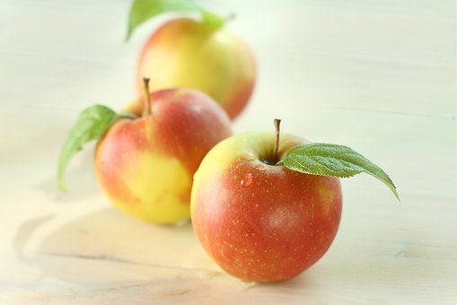教育孩子的幾點(diǎn)建議