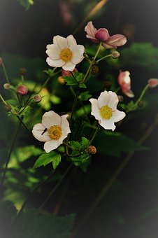 �п�ǰ�ؿ����ƴ��}����