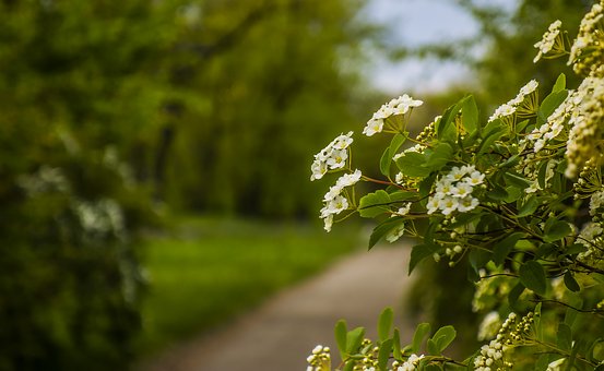 �����y�W(xu��)���������һ�_ʼ���e��