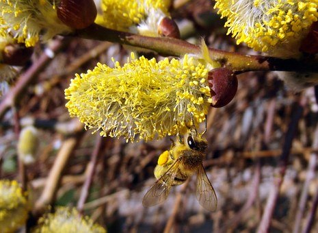 �ڌW(xu��)��(x��)�Ϻ��Ӳ�Ը���(f��)�P��ô�k��