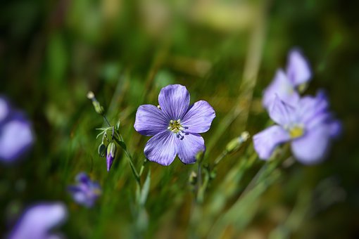 GRE/GMAT/TOEFL寫作:全球化的含義