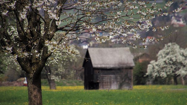 �����n��Ӱ� 2011��߿����g�����ܱ��p