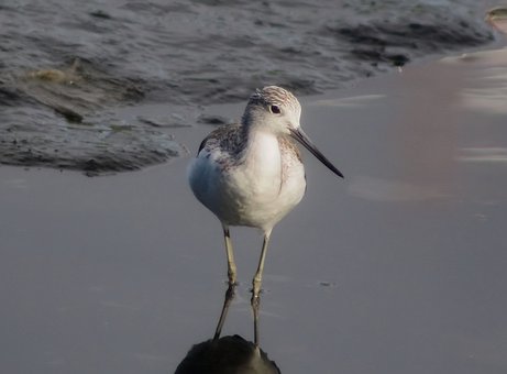 北京2010年高考數學命題變化應對對策