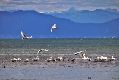父母的八種教育智慧指南