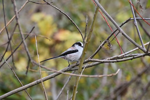 ���Д��W�x�}�����磺�ĺ������A���ڕ�؞ͨ