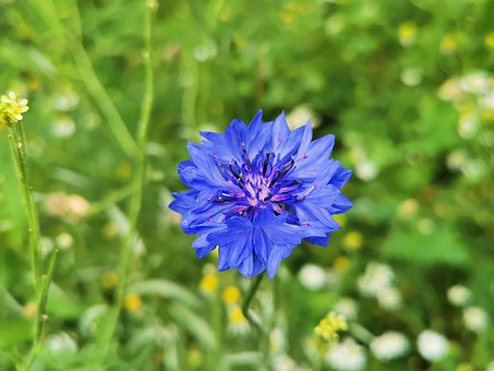 �Z�ď�������һ���c�����Ĝ��Ჩ��