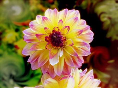 高三化學(xué)復(fù)習(xí)策略一