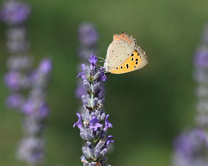 徹底不讓孩子玩游戲好嗎