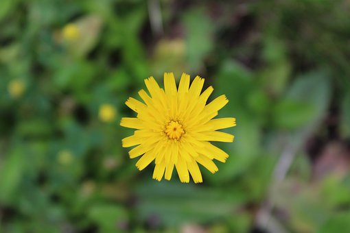 �\Մ�W�����B(y��ng)���Խ��� ��