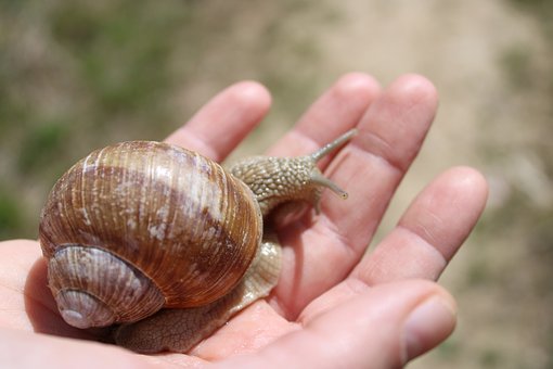 培養孩子獨立性格的重要性