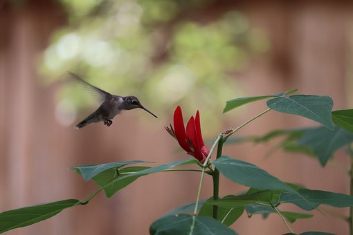比起上補習班家長更應該培養孩子最佳學習習慣