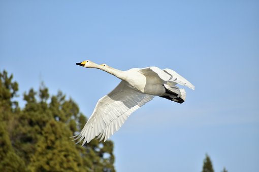60個(gè)寫作萬(wàn)能句型,助你高考英語(yǔ)分?jǐn)?shù)狂飆!