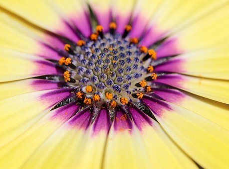 һ�꼉�Z�ČW(xu��)��(x��)Ӌ��(12)