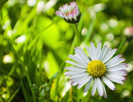 家長要善于發現孩子身上的閃光點