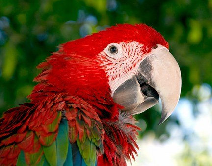 ��һ�꼉������֪�R�c����