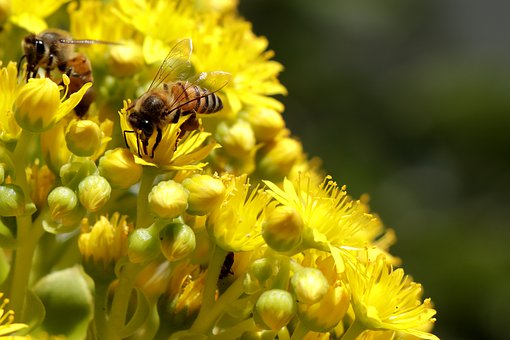 不聽指揮的孩子怎么辦