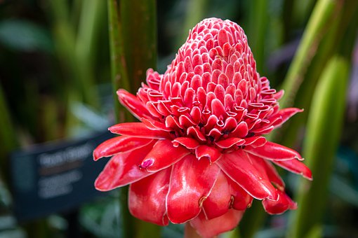 ������У����ؓ ��ĸԓ��ô�k��