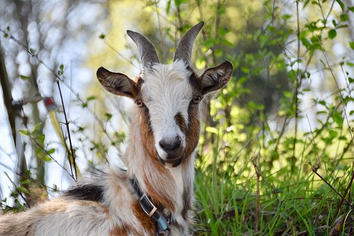 ������С�W�����L�WУ 2020�꽨У���_100%