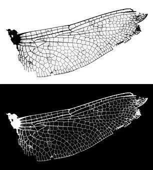 大學生“跑腿族”:學習還是第一位 跑腿只是嘗試