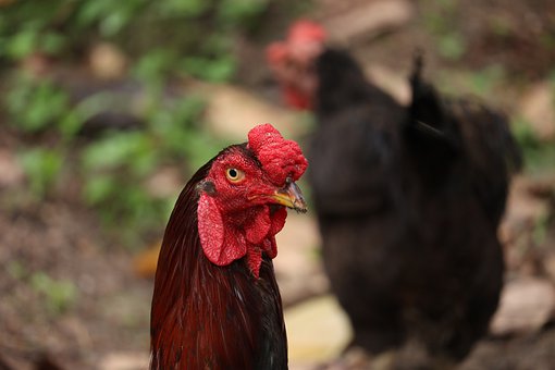 ��˼�俼ʮ���У��đB�ʳҲҪע��