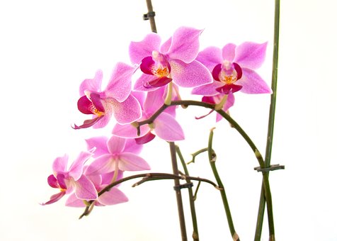 ĸԓӹĄ(l)ӈ(jin)ȥ