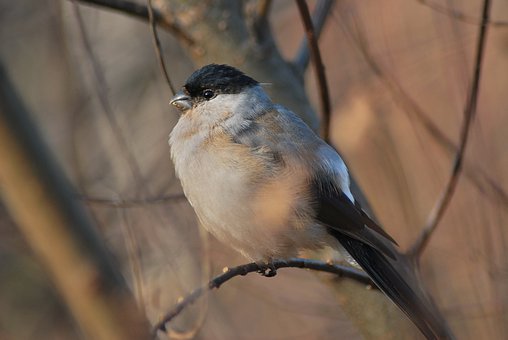 2010�걱����С�W(xu��)���W(xu��)���Ќ�ӛ䛽�����(sh��)��(j��)