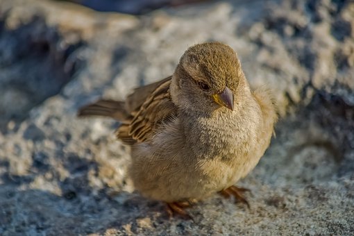 �߿��Z�ĵڶ�݆�������h:����Ҫ���忼ԇ����