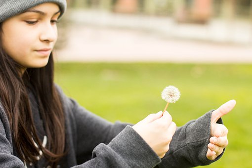 高考理綜復習兵法