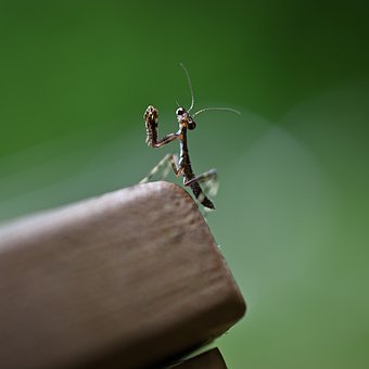 �������B(y��ng)���ӵ�������������